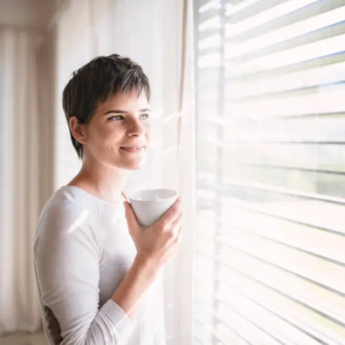 Ehniss Jalousien (2)