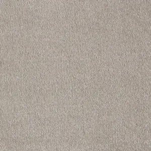 Obsession, Sensualite - 45 5-Meter Breit Teppichboden