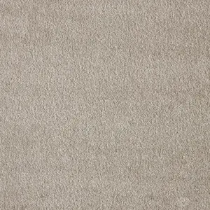 Seduction, Sensualite - 45 5-Meter Breit Teppichboden