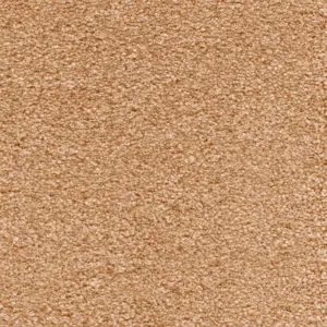 Suspense, Sensualite - 80 5-Meter Breit Teppichboden