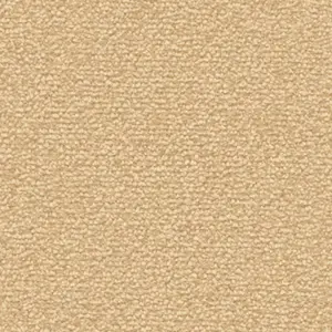 Fascination, Lyrica - 8K02 4-Meter Breit Teppichboden