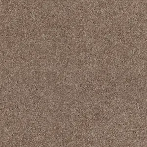 SmartStrand - 0434 LEHM 4-Meter Breit Teppichboden