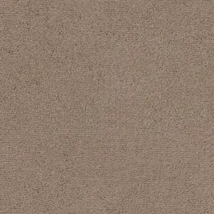 SmartStrand - 0421 BIEBER 4-Meter Breit Teppichboden