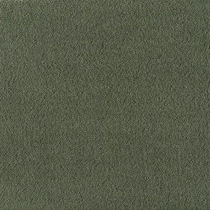 X Wohnen - 0624 PAPPEL 4-Meter Breit Teppichboden