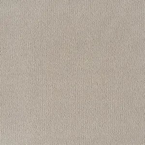 X Wohnen - 0240 CREAM 5-Meter Breit Teppichboden