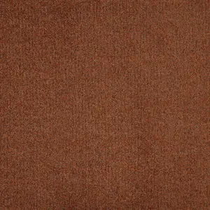 X Wohnen - 0310 ROST 4-Meter Breit Teppichboden