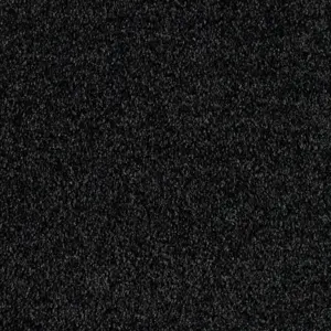 X Wohnen - 0810 CHARCOAL 5-Meter Breit Teppichboden