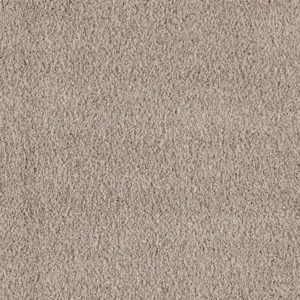 Euphoria - 0250 MAGNOLIA 5-Meter Breit Teppichboden