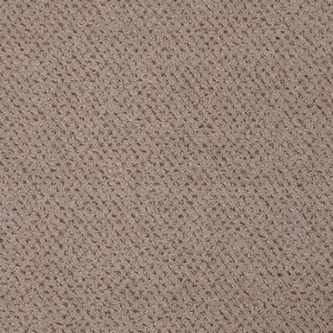 Pilotis - 262 CAMEL 4-Meter Breit Teppichboden