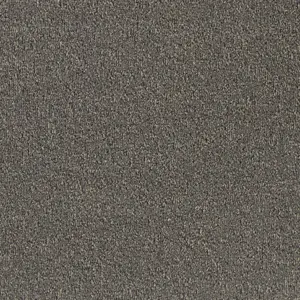 Pilotis - 830 ASH 4-Meter Breit Teppichboden