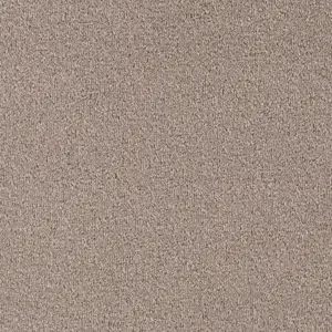 Pilotis - 230 FLAX 4-Meter Breit Teppichboden