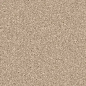 Pilotis - 250 NATURELL 4-Meter Breit Teppichboden