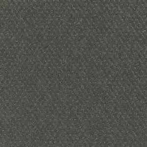 Pilotis - 840 MOONSHINE 4-Meter Breit Teppichboden