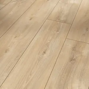 Trendtime 6 - Eiche Nova hell gekälkt Naturstruktur 4V