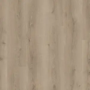 Quick-Step MJ3552