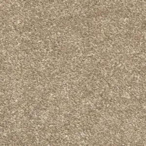 Memories - 36 5-Meter Breit Teppichboden