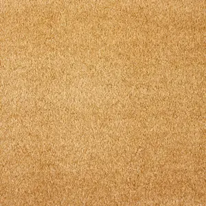 Scent, Sensualite - 54 5-Meter Breit Teppichboden