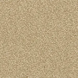 Fascination, Lyrica - 8L31 5-Meter Breit Teppichboden