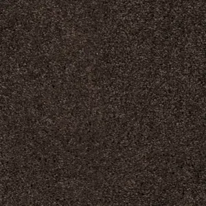 SmartStrand - 0401 KAFFE 4-Meter Breit Teppichboden