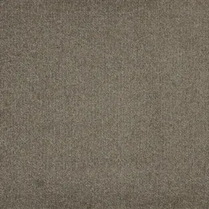 X Wohnen - 0260 BEIGE 4-Meter Breit Teppichboden