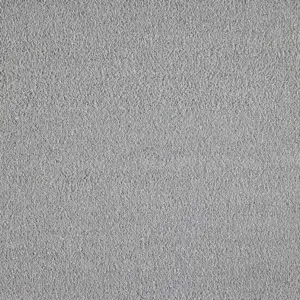 X Wohnen - 0870 SILBER 5-Meter Breit Teppichboden