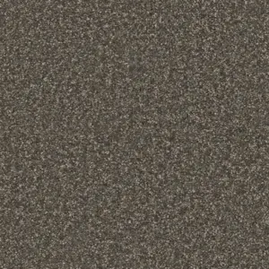 Pilotis - 820 SCHIEFER 4-Meter Breit Teppichboden