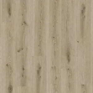 Essence 30 - Primary Oak Light Grey zum Kleben