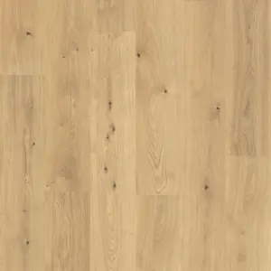 Corelan Design-Korkboden KF - Savoyer Eiche Korkboden zum Kleben