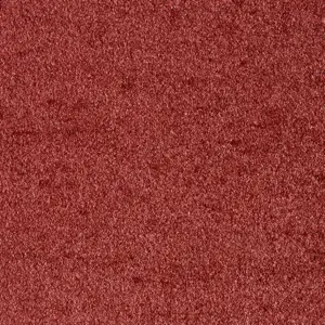 Sensation New, Sensualite - 19 4-Meter Breit Teppichboden