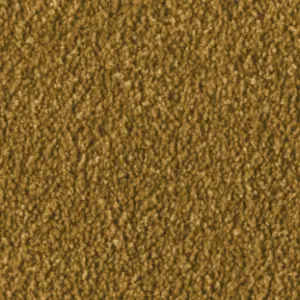 Fascination, Alba - 2F97 4-Meter Breit Teppichboden