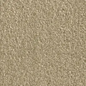 Fascination, Amelie - 8L41 4-Meter Breit Teppichboden