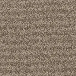 Fascination, Lyrica - 8L32 4-Meter Breit Teppichboden