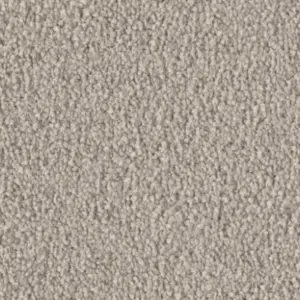 Fascination, Violetta - 54A8 5-Meter Breit Teppichboden