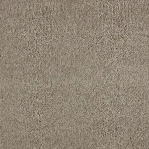 SmartStrand - 0420 BIBER 4-Meter Breit Teppichboden