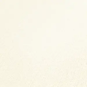 Black & White - Vliestapete