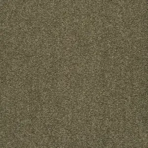 X Wohnen - 0480 GERSTE 5-Meter Breit Teppichboden