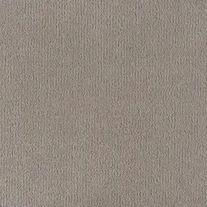Pleasure - 0840 MOONSHINE 4-Meter Breit Teppichboden