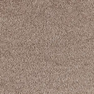 X Wohnen - 0260 CAMEL 5-Meter Breit Teppichboden