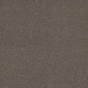 X Wohnen - 0030 DOVE 4-Meter Breit Teppichboden