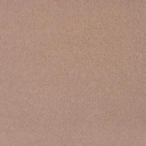 Pilotis - 261 CAMEL 4-Meter Breit Teppichboden