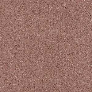 Pilotis - 183 RUM 4-Meter Breit Teppichboden