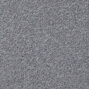 Pilotis - 858 MOONBEAM 5-Meter Breit Teppichboden