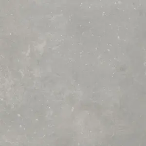 Primetex - LEONE CLEAR 4-Meter Breit PVC-Boden