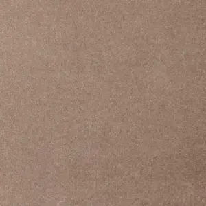 Feeling - 49 5-Meter Breit Teppichboden