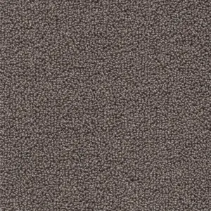 Pride - 48 5-Meter Breit Teppichboden