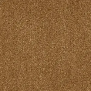 Zen - 54 5-Meter Breit Teppichboden