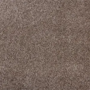 Scent, Sensualite - 49 5-Meter Breit Teppichboden