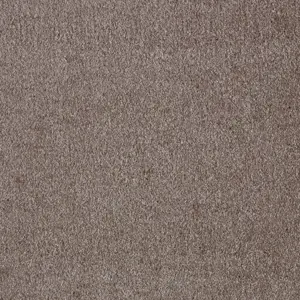 Sensation New, Sensualite - 44 4-Meter Breit Teppichboden