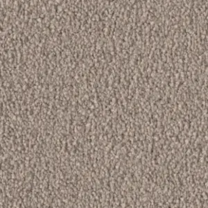 Fascination, Violetta - 54A9 4-Meter Breit Teppichboden
