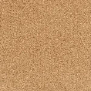 SmartStrand - 0370 GOLD 4-Meter Breit Teppichboden
